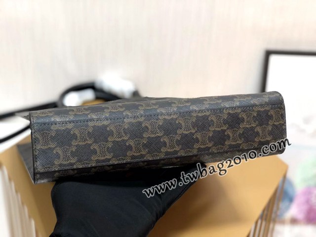 Celine專櫃2023新款手提托特包 191542 賽琳CABAS TRIOMPHE帆布小號豎款手袋 sldj2222